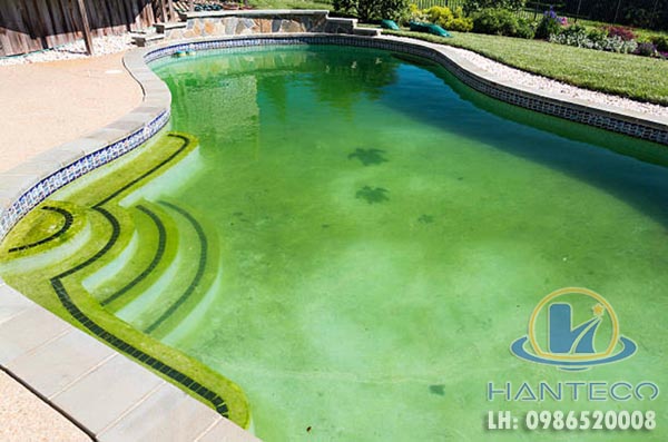 hóa chất diệt rong rêu cho hồ bơi
