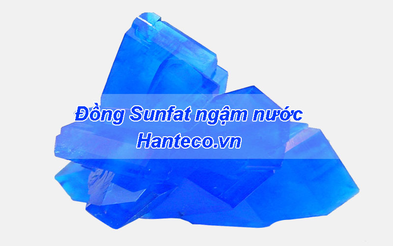 dong sunfat ngam nuoc