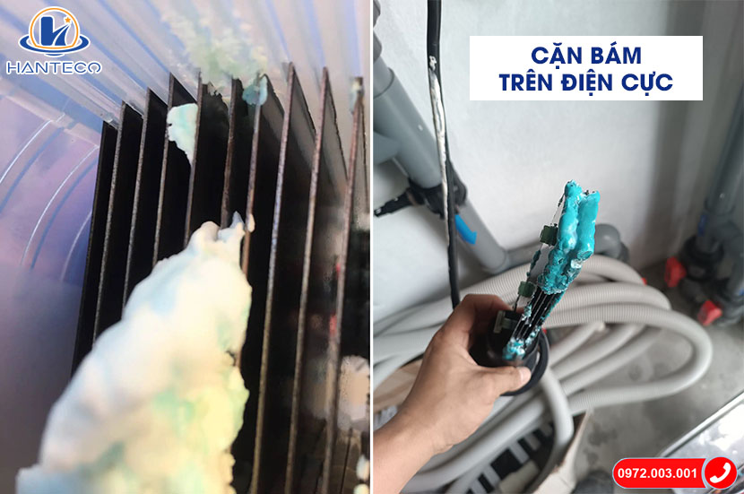 can-bam-tren-dien-cuc-dien-phan-muoi can-bam-tren-dien-cuc-dien-phan-muoi