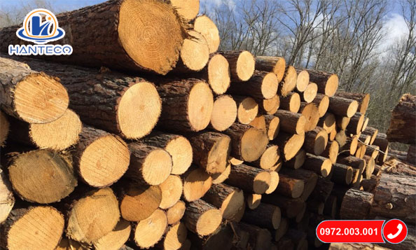 gỗ thông Phần Lan