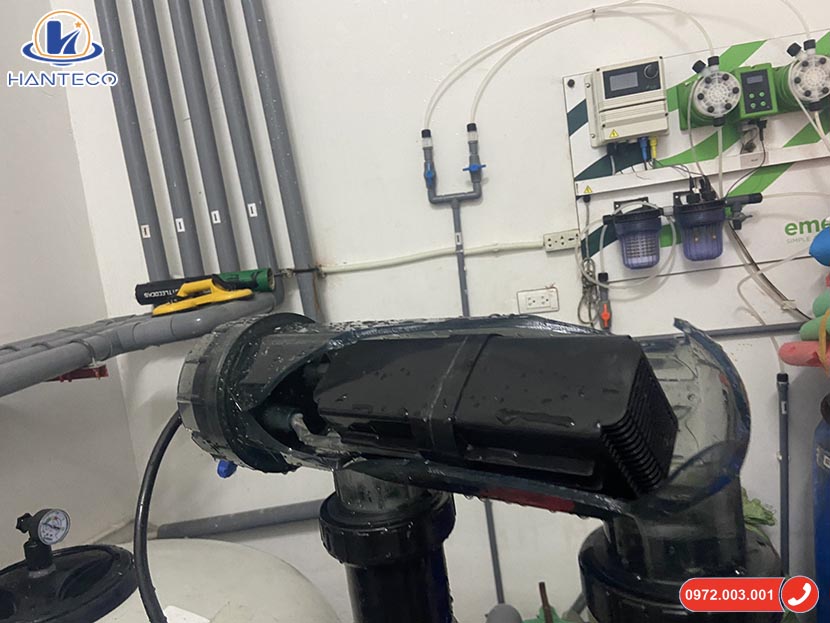 no-vo-dien-cuc no-vo-dien-cuc