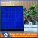 gach-mosaic-thuy-tinh-xanh-dam
